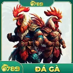 sảnh đá gà 67899